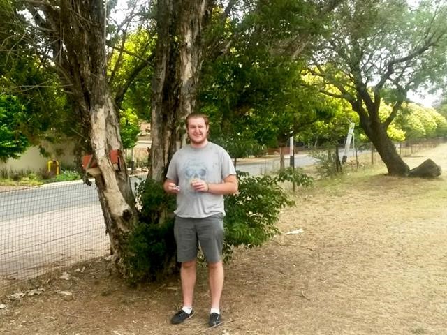 The Letterbox Tree