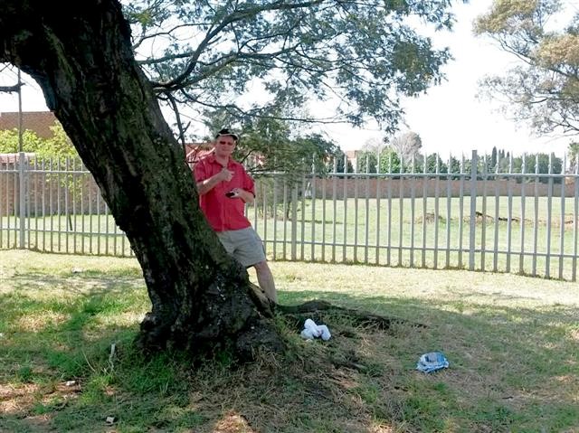 The Leaning Tree