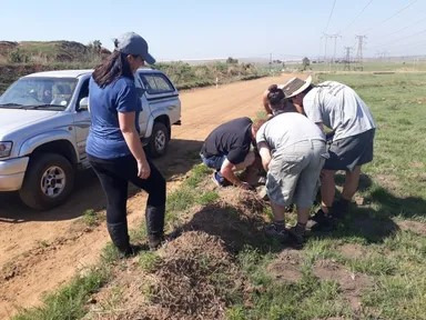 BPSX #154 - Ons, ons, onder die boom
