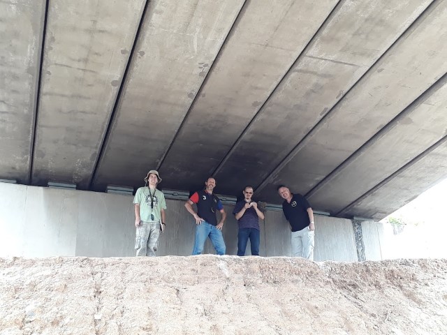 Abandoned Road