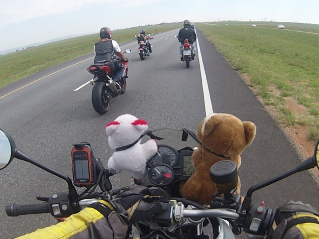 Toyrun-2013