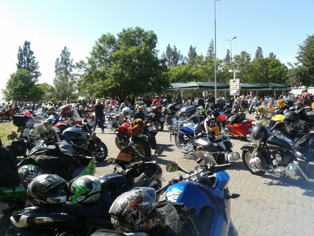Toyrun-2015