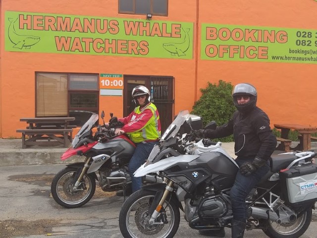 Hermanus