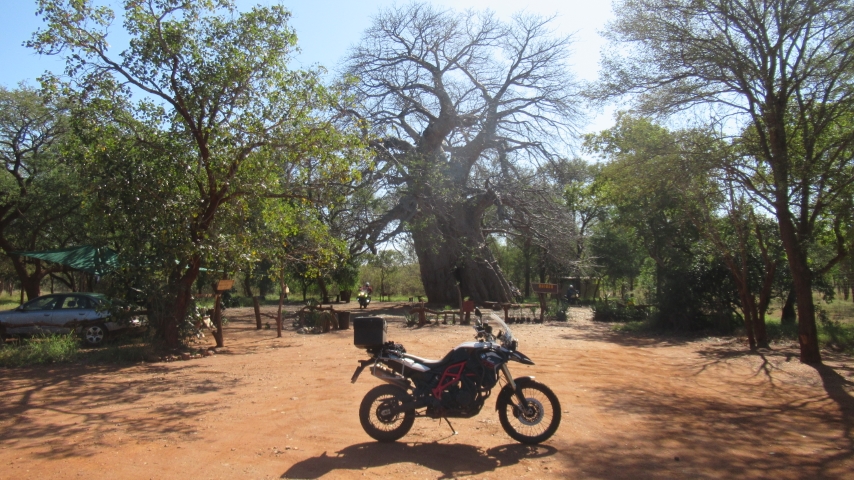 Big Boabab Tree